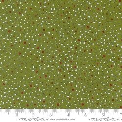 On Dasher - 55665-13