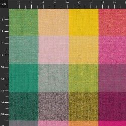 Anna Maria Horner - Garden Variety - 650-015