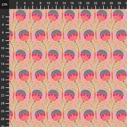 Anna Maria Horner - Shooting star - 600-052