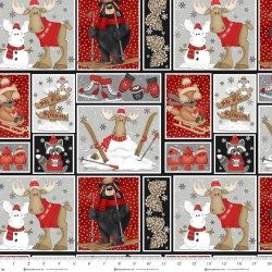 Pinecone Ridge Lodge - 4708-731