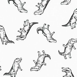 Animal club - Coccodrilli