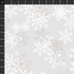 Retro - 108'' Quilt Back - 2555-063